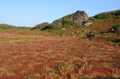 292DSC_1415.jpg