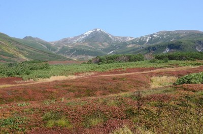 293DSC_1544.jpg