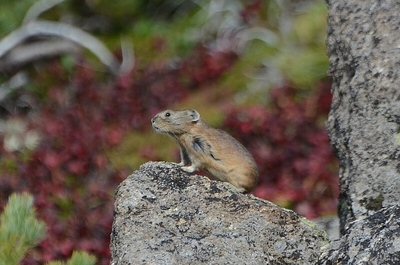 294DSC_1014.jpg