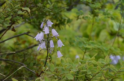 314DSC_4224.jpg