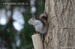 31topDSC_8336.jpg