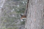 42DSC_9847.jpg