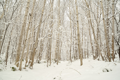 00DSC_2362_02.JPG