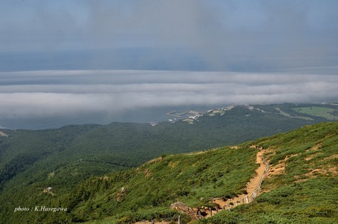 01DSC_2401.JPG