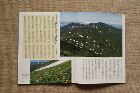 01DSC_6530.JPG
