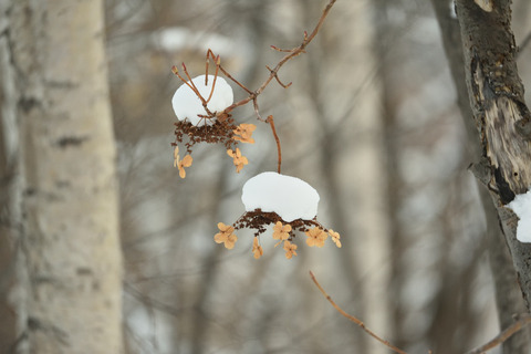 02DSC_1013.JPG