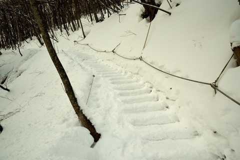 02DSC_9948_01.JPG