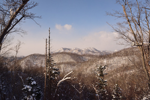 04DSC_9711_01.JPG