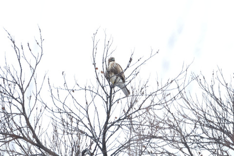 05DSC_0391.JPG