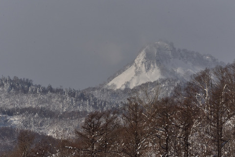 06DSC_9715.JPG