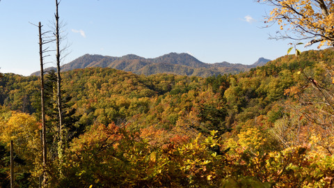 07DSC_7559.jpg