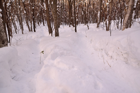 08DSC_9729.JPG