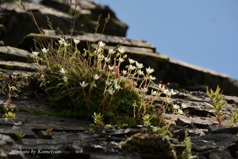 0DSC_4328.JPG