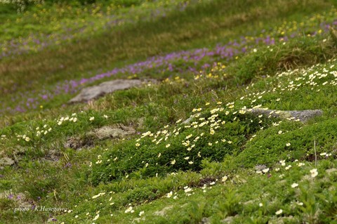 11DSC_3639.JPG