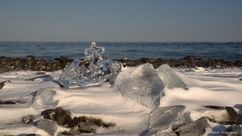 1701291DSC_7614.JPG
