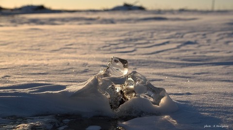 1701293DSC_7666.JPG