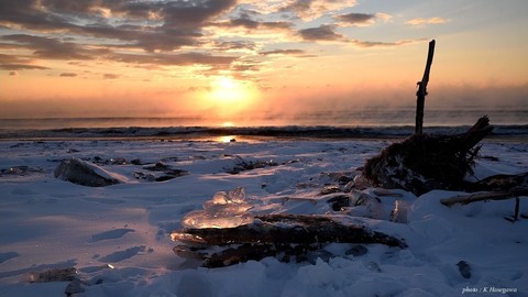 1701294DSC_7735.JPG