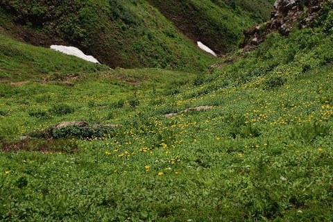 1708021DSC_9945.JPG