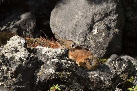 1909161DSC_5829.jpg