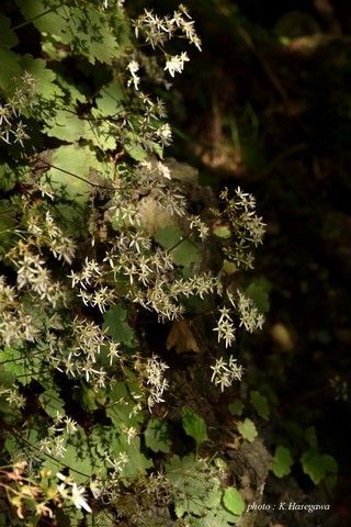 1909232DSC_6838.JPG