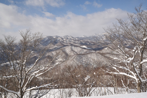 9DSC_2439.JPG