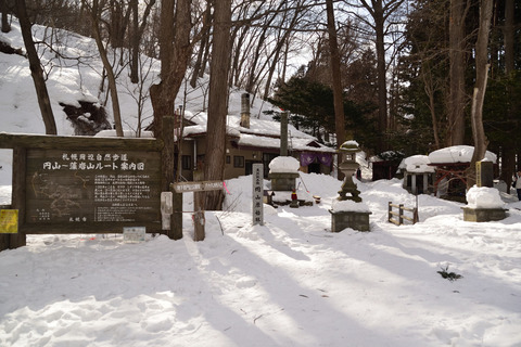 DSC_1571.JPG