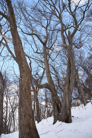 DSC_1578.JPG