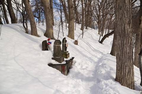 DSC_1584.JPG