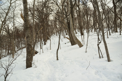 DSC_1585.JPG