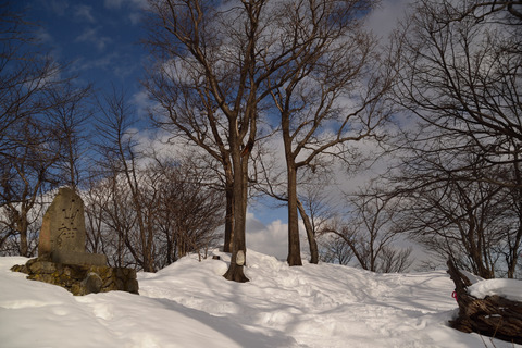 DSC_1594.JPG