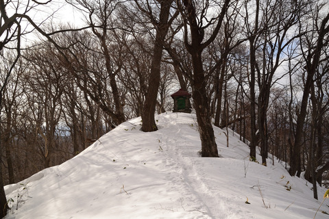 DSC_1604.JPG