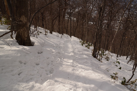 DSC_1605.JPG