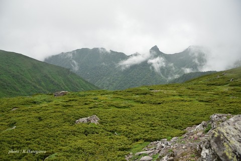 DSC_1969.JPG