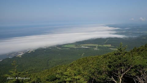 DSC_2338.JPG