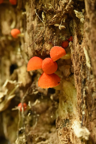 DSC_3852.JPG