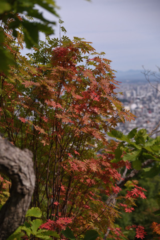 DSC_3968.JPG