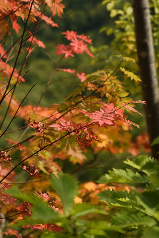 DSC_3969.JPG