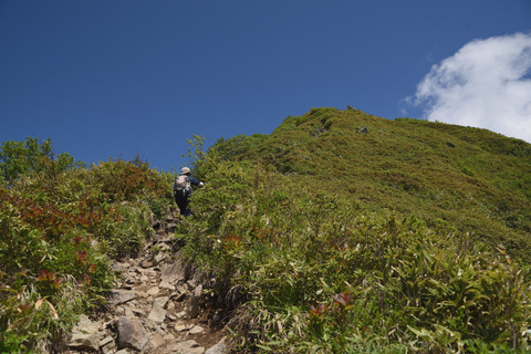 DSC_4796.JPG