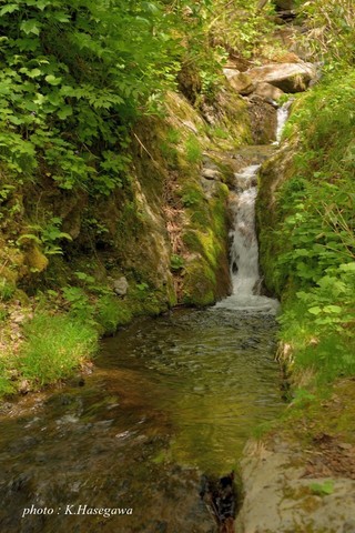 DSC_5620_01.JPG