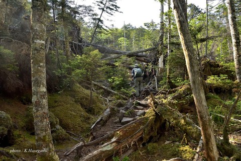 DSC_9267.JPG