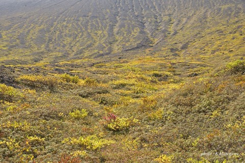 b10DSC_7399_1.JPG