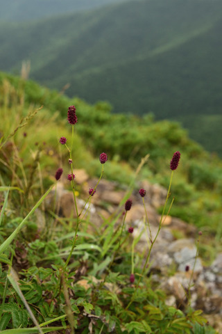 h07DSC_4889.JPG