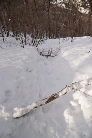 t0DSC_1590.JPG