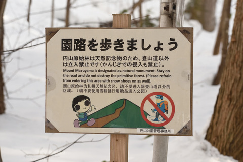 t3DSC_1614.JPG